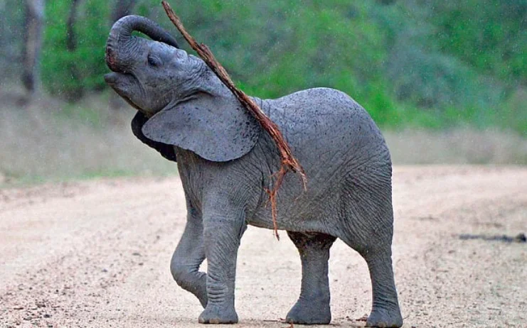 Managers Essential Tool Kit, 2-Day Workshop from Dave Jones. From Technical Mastery to Leadership Competency.